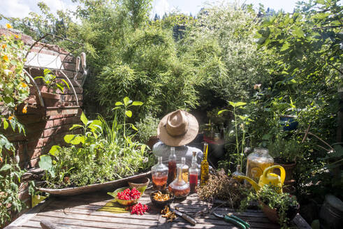 Mann mit Hut sitzt mit frischem Öl und hausgemachtem Essig im Garten - HHF05842