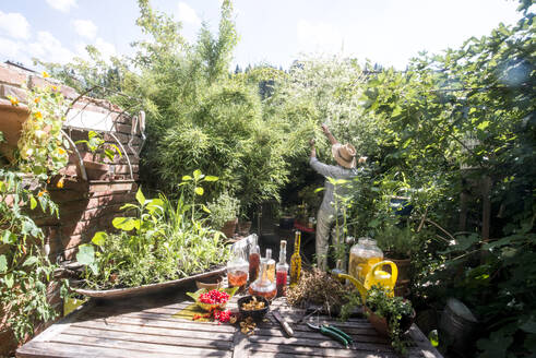 Mann mit Hut arbeitet an einem sonnigen Tag im Garten - HHF05843