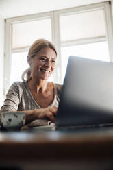 Glücklicher Freiberufler arbeitet am Laptop im Home Office - JOSEF18230