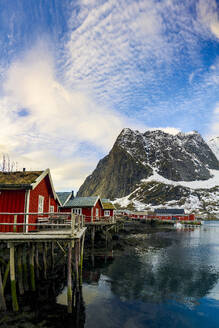 Stelzenhäuser mit Grasdach im kleinen Hafen von Reine, Lofoten-Inseln, Bezirk Nordland, Norwegen, Skandinavien, Europa - RHPLF23800