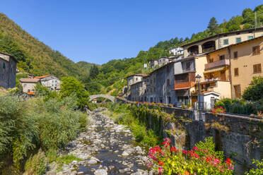 Fabbriche di Vallico, 14th century pedestrian bridge, Turrite Cava stream, Garfagnana, Tuscany, Italy, Europe - RHPLF23822