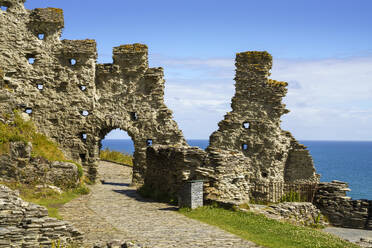 Schloss Tintagel, Cornwall, England, Vereinigtes Königreich, Europa - RHPLF23857