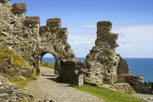 Schloss Tintagel, Cornwall, England, Vereinigtes Königreich, Europa - RHPLF23857
