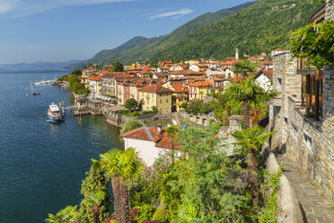 Cannero Riviera, Lago Maggiore, Piedmont, Italian Lakes, Italy, Europe - RHPLF23874