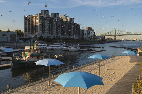 Jachthafen und Sandstrand mit Molsengebäude, Montreal, Quebec, Kanada, Nordamerika - RHPLF23895