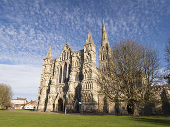 Salisbury Cathedral, Salisbury, Wiltshire, England, Vereinigtes Königreich, Europa - RHPLF23908