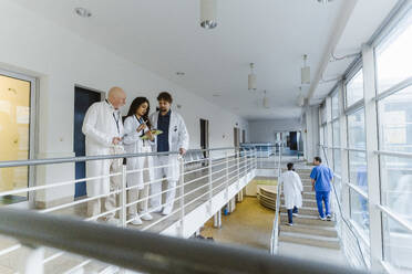 Ärztin diskutiert mit Kollegen auf dem Korridor eines Krankenhauses - MASF36157