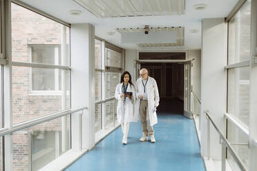 In voller Länge von weiblichen und männlichen Ärzten diskutieren über digitale Tablet beim Gehen zusammen im Krankenhaus Korridor - MASF36166