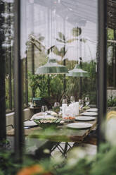 Tisch für eine Dinnerparty im Gewächshaus im Hinterhof, gesehen durch ein Glasfenster - MASF36234