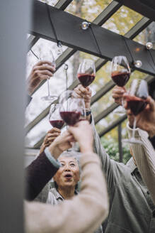 Ältere männliche und weibliche Freunde stoßen mit Weingläsern auf einer Dinnerparty an - MASF36259