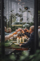 Male and female friends toasting drinks during dinner party in backyard - MASF36276