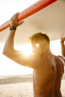 Mann trägt Paddleboard auf dem Kopf am Strand bei Sonnenuntergang - MASF36590