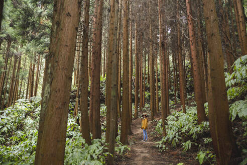 Junge Frau steht inmitten hoher Bäume im Wald - PCLF00358