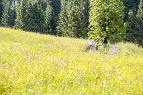 Mann und Frau halten sich an den Händen und gehen mit ihrem Sohn vor einem Baum spazieren - HHF05848