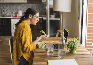 Freelancer having salad using laptop at home - JCCMF10114