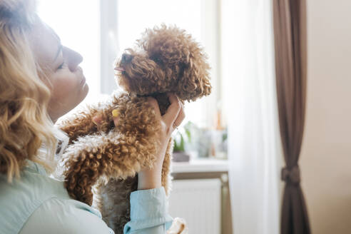 Woman playing with cute brown dog at home - OSF01512