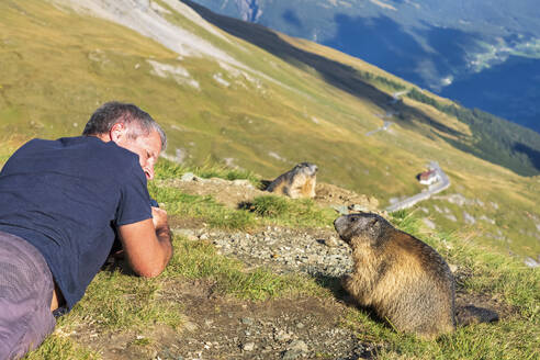 Mann betrachtet Alpenmurmeltier an einem sonnigen Tag, Kärnten, Österreich - FOF13674