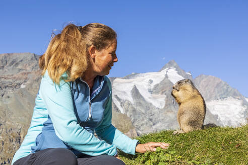 Frau betrachtet Alpenmurmeltier beim Fressen an einem sonnigen Tag, Kärnten, Österreich - FOF13680