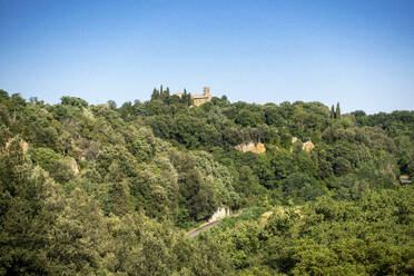Blick auf eine üppige grüne Landschaft unter blauem Himmel, Toskana, Italien - MAMF02761
