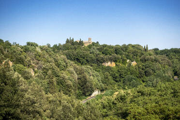 View of lush green landscape under blue sky, Tuscany, Italy - MAMF02761