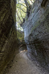Schmale Straße inmitten einer Felswand unter Bäumen, Toskana, Italien - MAMF02764