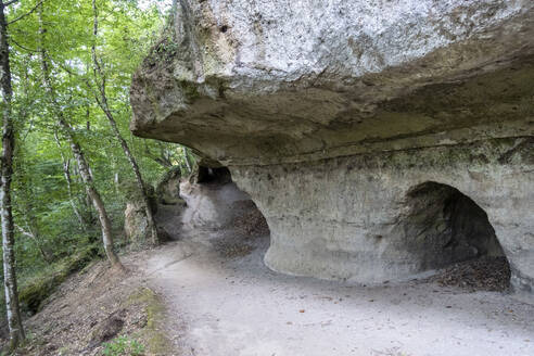 Antikes Steingrab zwischen Bäumen, Toskana, Italien - MAMF02769