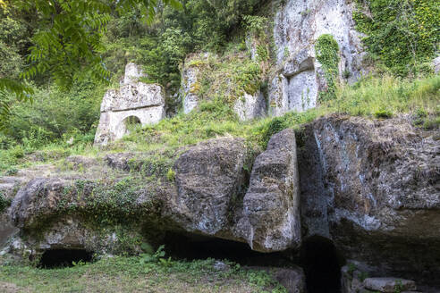 Historische Steinbauten mit Pflanzen, Toskana, Italien - MAMF02771