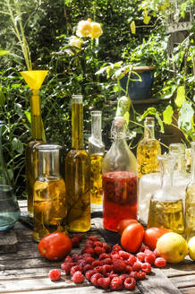 Preparation of herbal infusions in summer garden - HHF05856