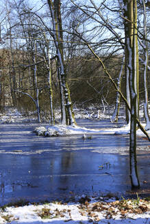 Germany, Mecklenburg-Vorpommern, Lake in Jasmund National Park during winter - JTF02316