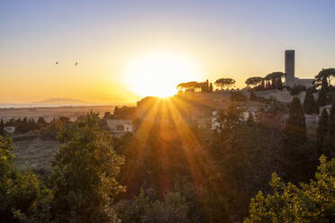 Italien, Latium, Tarquinia, Bäume vor einer ländlichen Stadt bei Sonnenuntergang - MAMF02797