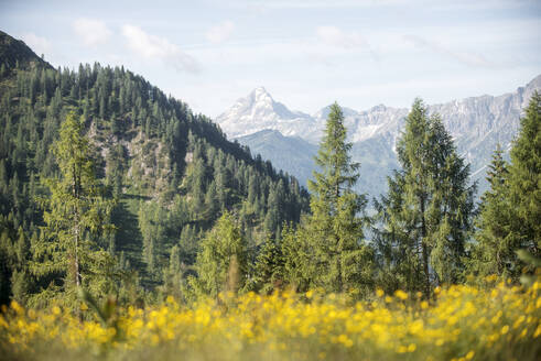 Austria, Salzburger Land, Altenmarkt im Pongau, Mount Faulkogel in summer - HHF05865