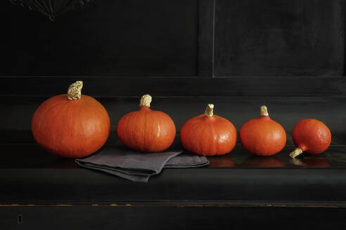 Studio shot of pumpkins ordered from biggest to smallest - EVGF04335