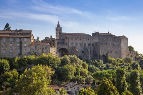 Italy, Lazio, Viterbo, Trees in front of Palazzo dei Papi - MAMF02802