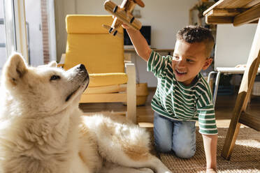 Niedlicher Junge spielt mit Hund zu Hause - JCCMF10274