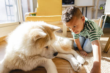 Junge spielt mit Hund zu Hause - JCCMF10275