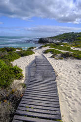 South Africa, Western Cape Province, Boardwalk stretching along sandy beach in De Hoop Nature Reserve - LBF03801