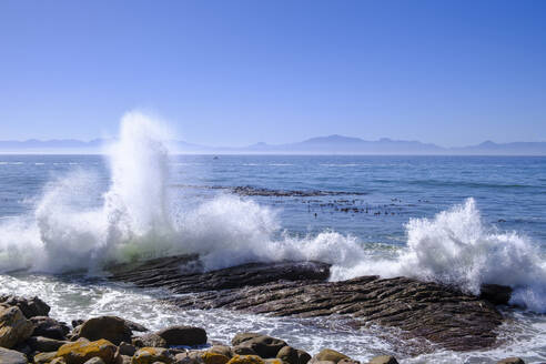 South Africa, Western Cape Province, Wave splashing against shore of False Bay - LBF03816