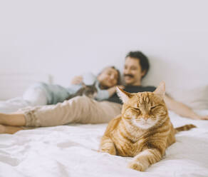 Cat sitting on bed with couple in background - NDEF00546