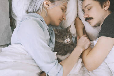 Couple with cat sleeping on bed at home - NDEF00556