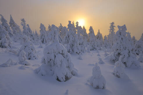 Deutschland, Sachsen, Sonnenuntergang über schneebedecktem Wald im Erzgebirge - RUEF04012