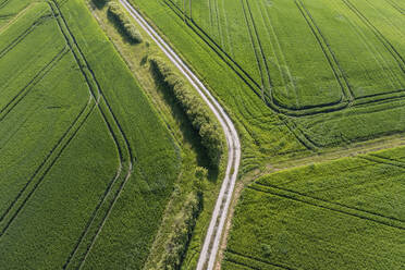 Deutschland, Bayern, Luftaufnahme einer unbefestigten Straße, die sich im Frühling durch grüne Felder zieht - RUEF04038