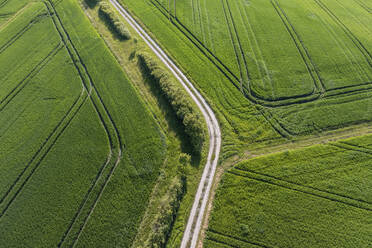 Germany, Bavaria, Aerial view of dirt road stretching through green fields in spring - RUEF04038