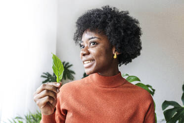 Smiling woman holding leaf at home - AAZF00391