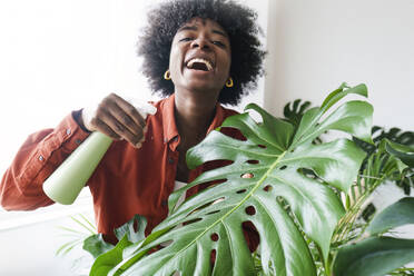 Cheerful young woman spraying water on monstera leaf - AAZF00396