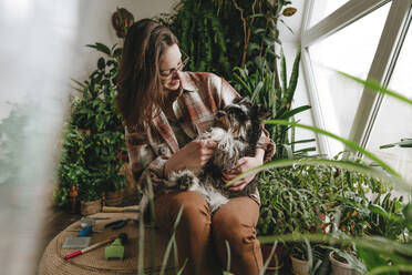 Frau streichelt Schnauzer-Hund, der inmitten von Pflanzen zu Hause sitzt - YTF00734