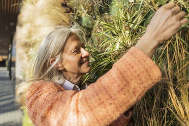 Smiling woman admiring plants at sunny day - JCCMF10319