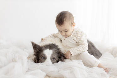 Niedlicher Junge sitzt mit Border Collie vor einer weißen Wand - GMLF01403