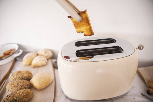 Kochzange zur Entnahme von Toastbrot aus dem Toaster - PCLF00442