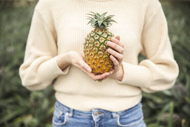 Woman holding fresh pineapple in hands - PCLF00451