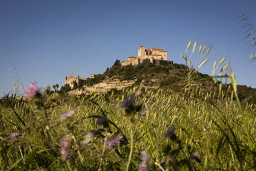 Spanien, Balearische Inseln, Arta, Almudaina DArta Festung mit Wildblumen im Vordergrund - FCF02123